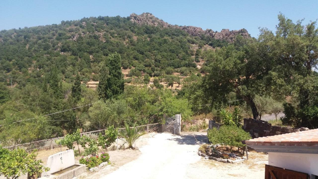 Casa Lucia Campagna Relax * Dorgali